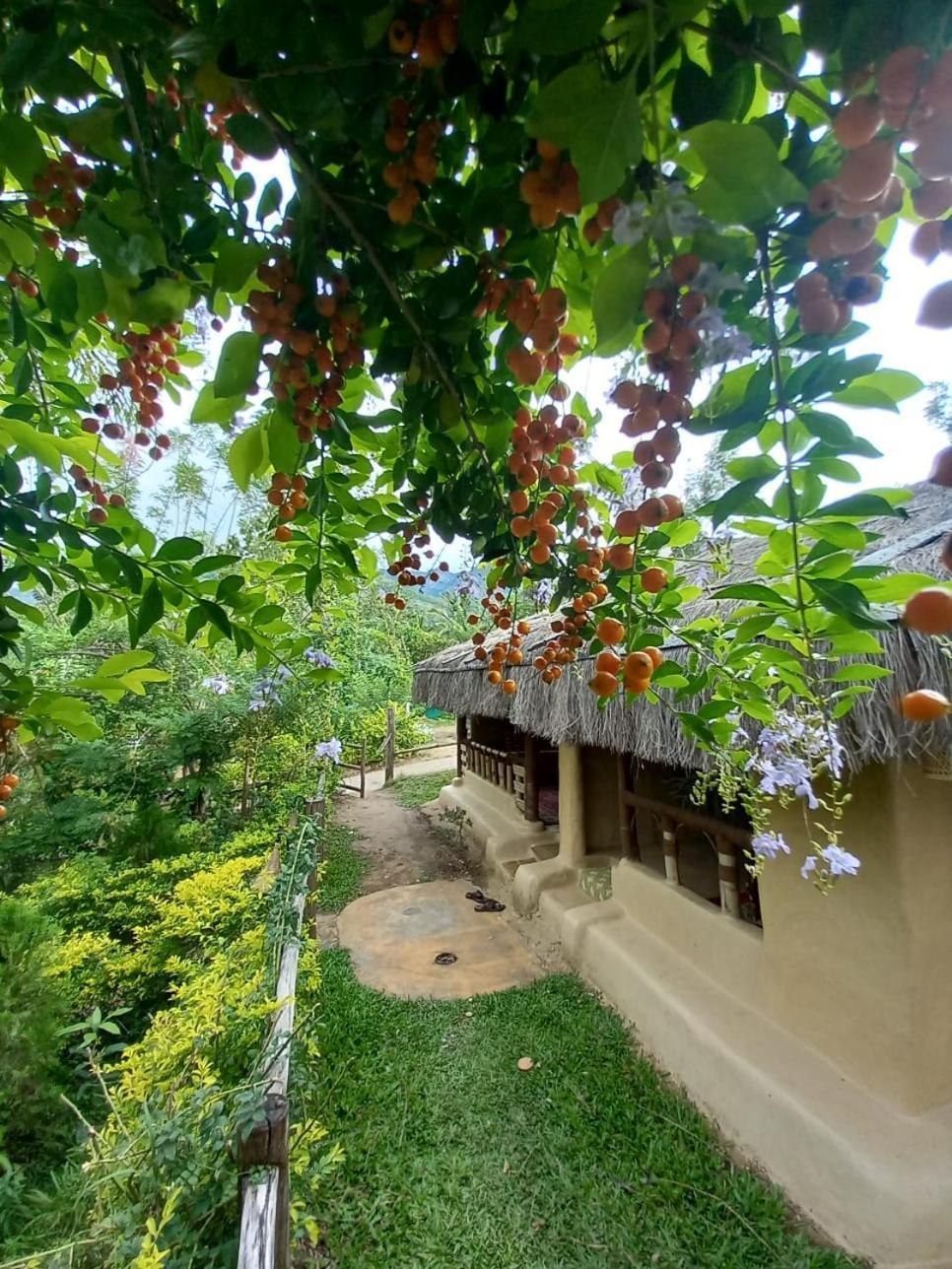 Nature Tones By Brdge Hospitality Maraiyur Екстер'єр фото
