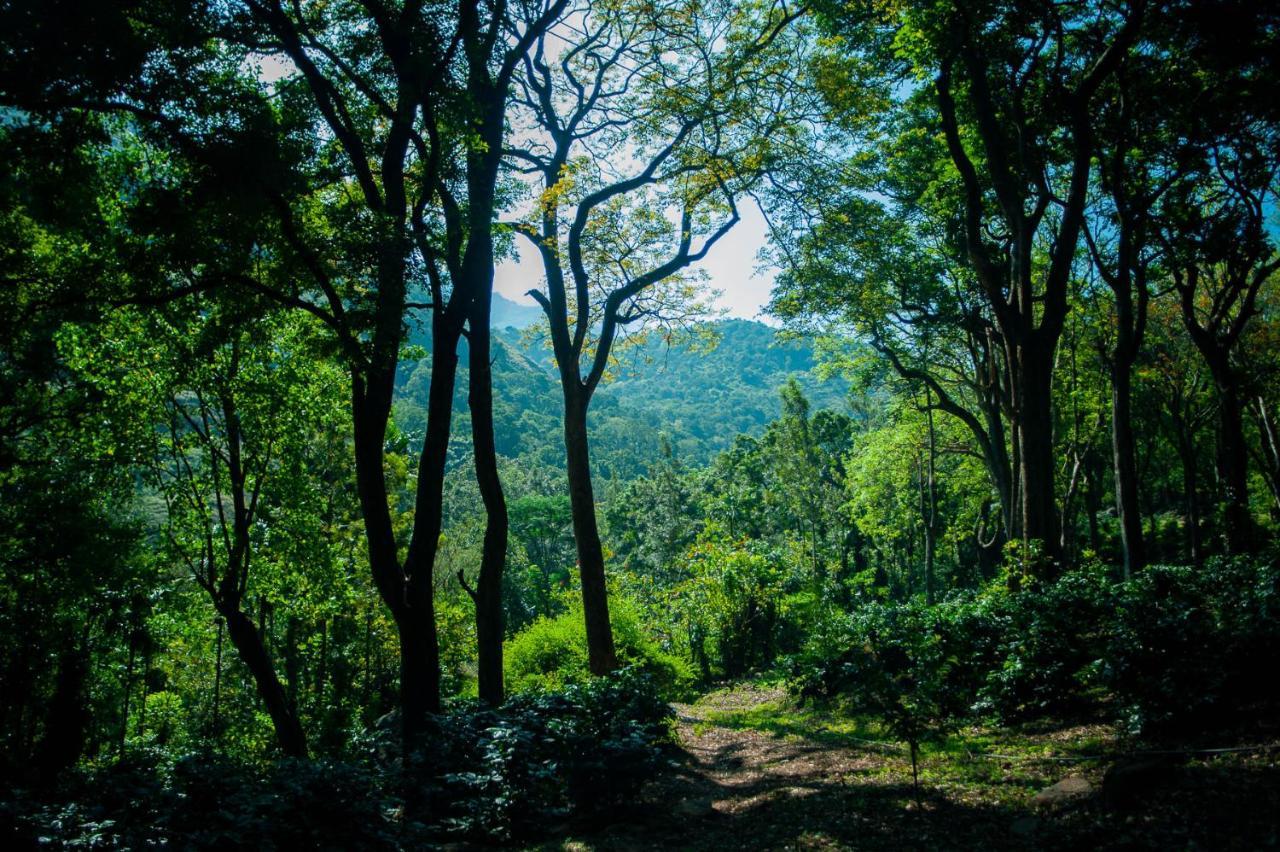 Nature Tones By Brdge Hospitality Maraiyur Екстер'єр фото