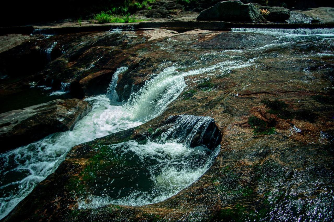 Nature Tones By Brdge Hospitality Maraiyur Екстер'єр фото